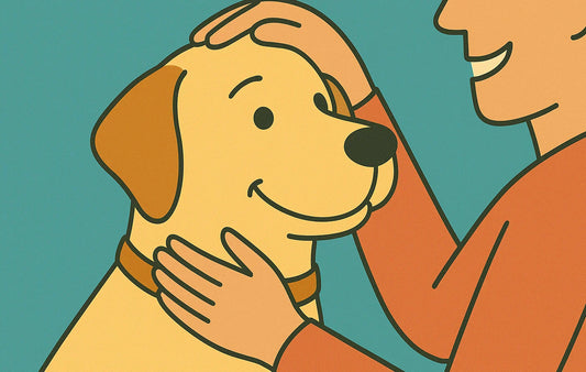 Bond with your dog