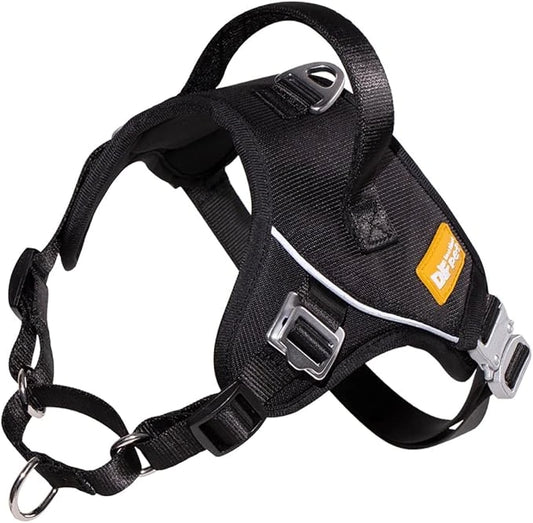 Gentle Bonding Harness – Comfort-First Training for Trust and Connection