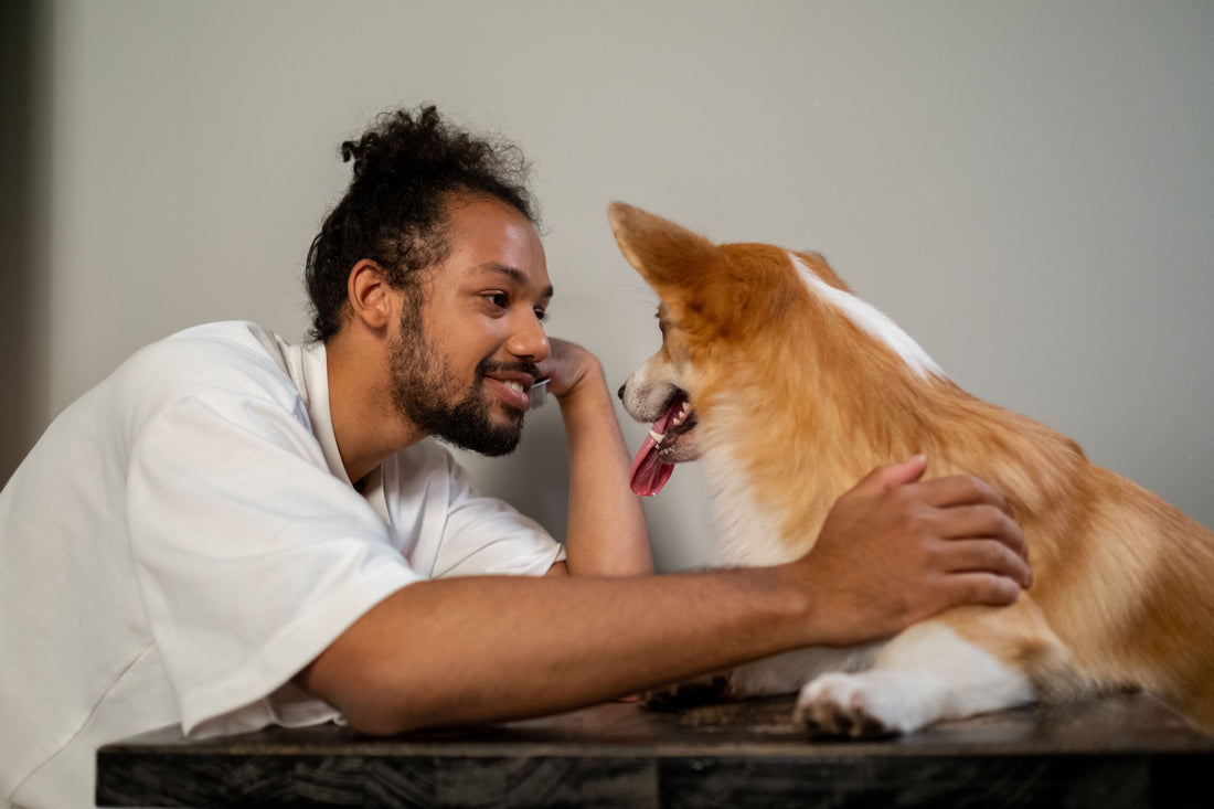 Dog Body Language: How Your Energy Shapes Your Dog’s Behavior