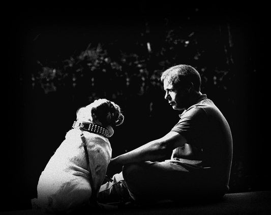 Why You Feel Like You’re Failing Your Dog; And What To Do About It