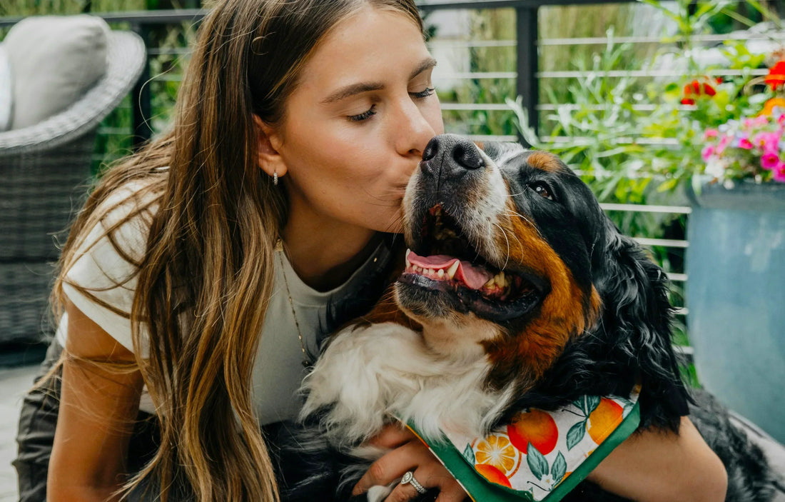 Woman kissing her Bernese Mountain Dog outdoors, symbolizing the bond, trust, and emotional connection at the heart of canine wellness.