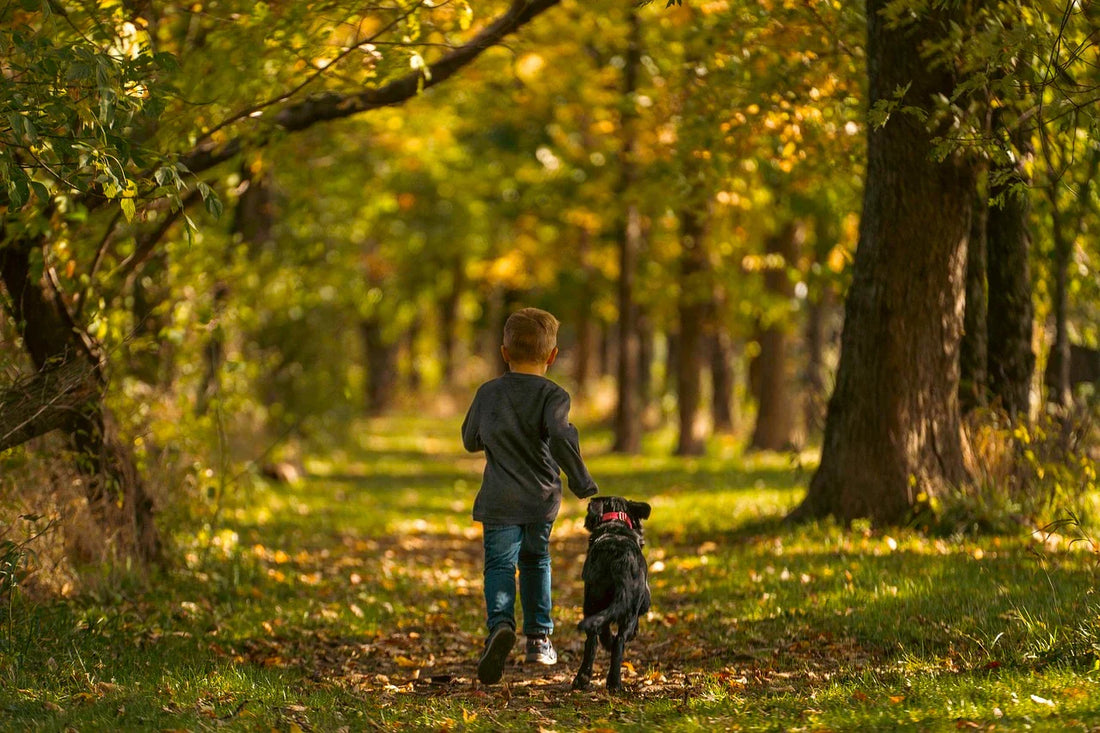A boy runs along a nature trail with his dog.