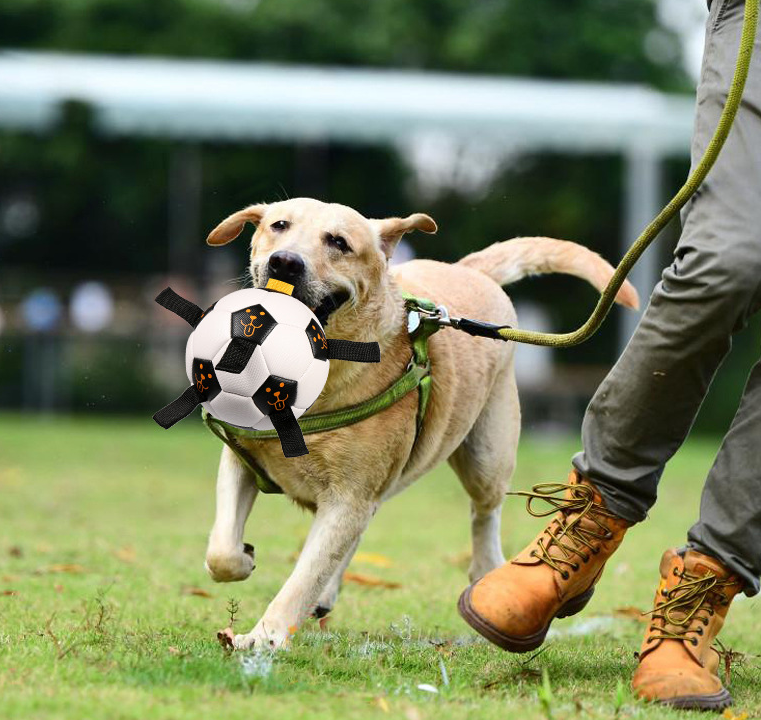 Dog Soccer Ball Herding Ball with Straps