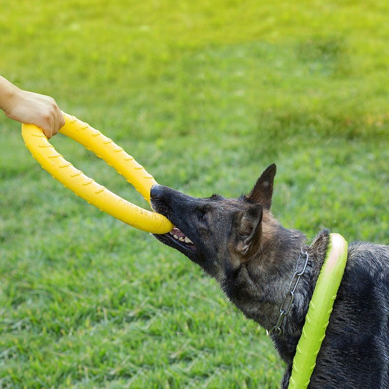 Dog Tug of War Ring Toy