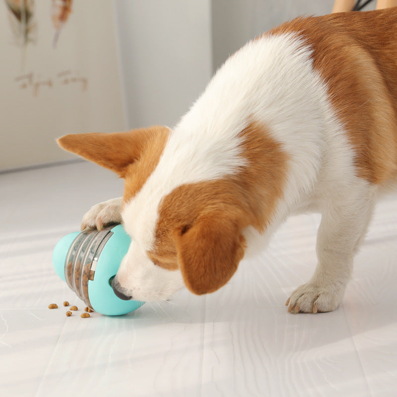 Dog Treat Ball Tumbler Slow Feeder