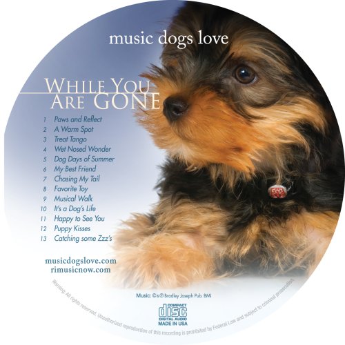 Calm Music for Dogs Relaxation & Separation Anxiety Music Dogs Love: While You Are Gone