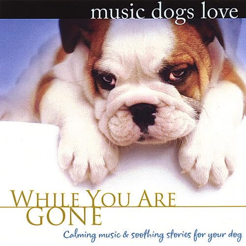 Calm Music for Dogs Relaxation & Separation Anxiety Music Dogs Love: While You Are Gone