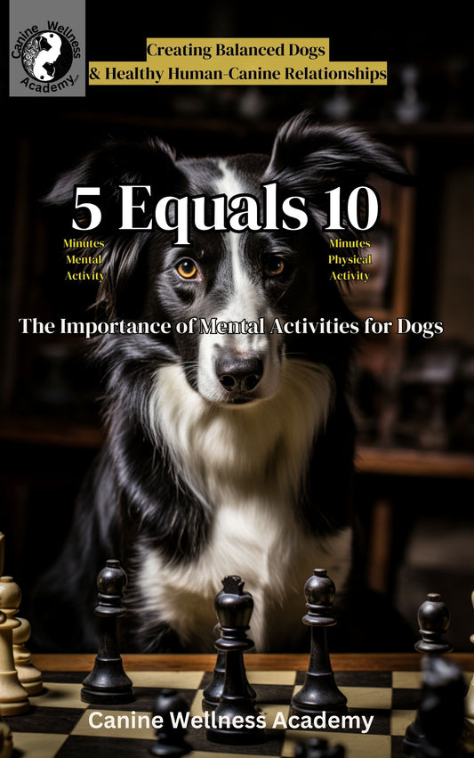 5 Equals 10: The Importance of Mental Activities for Dogs