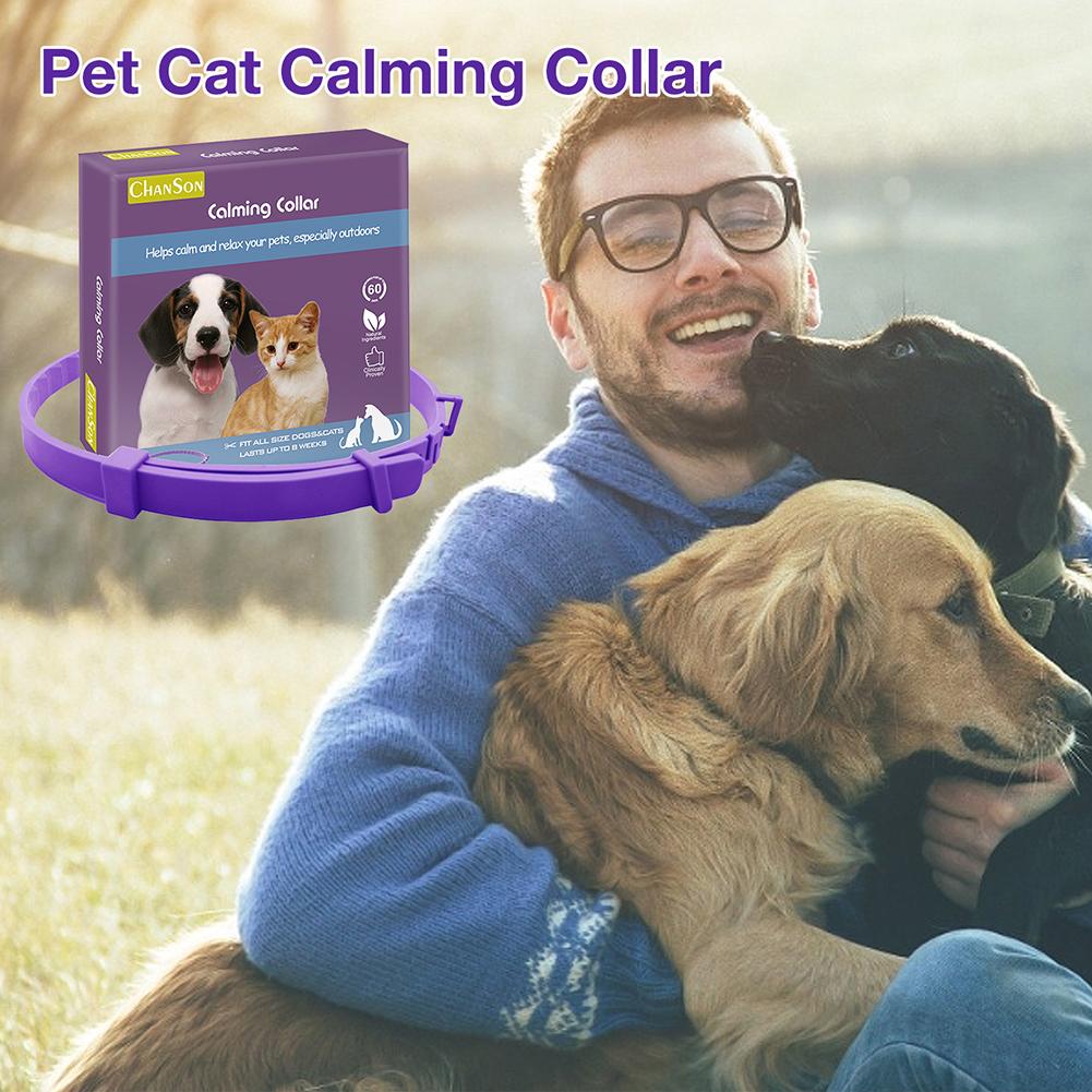 Dog Calming Collar Scented