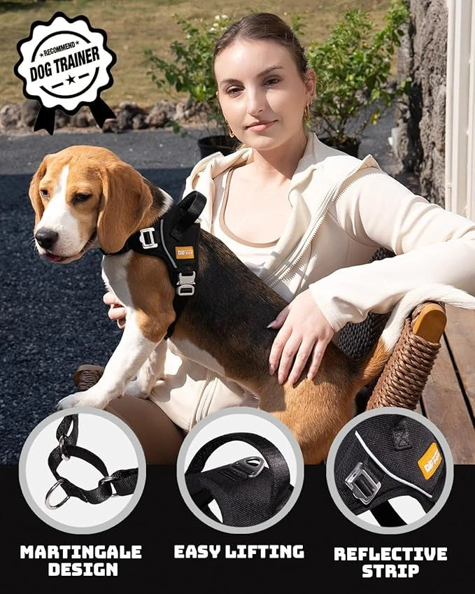 Gentle Bonding Harness – Comfort-First Training for Trust and Connection