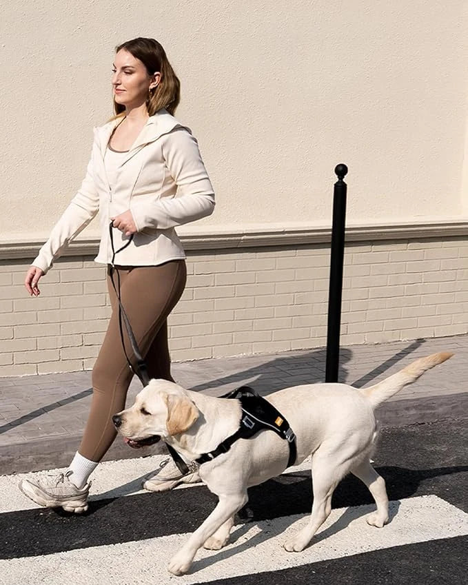 Gentle Bonding Harness – Comfort-First Training for Trust and Connection