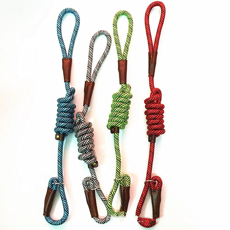 Slip Lead Leash for Dog Training 5ft