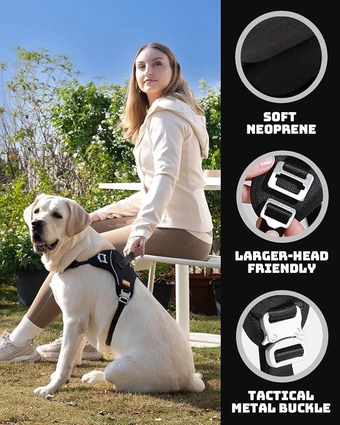 Gentle Bonding Harness – Comfort-First Training for Trust and Connection