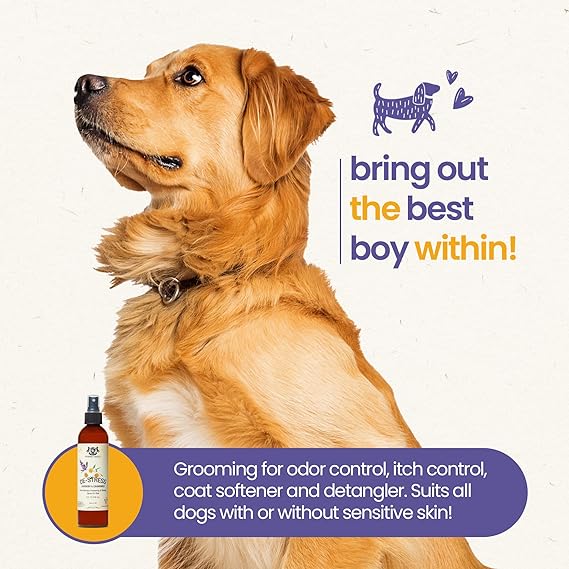 Dog Calming Spray Supplement Anxiety Relief