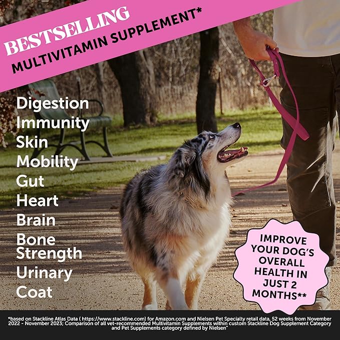 Pet Honesty Multivitamin Dog Supplement