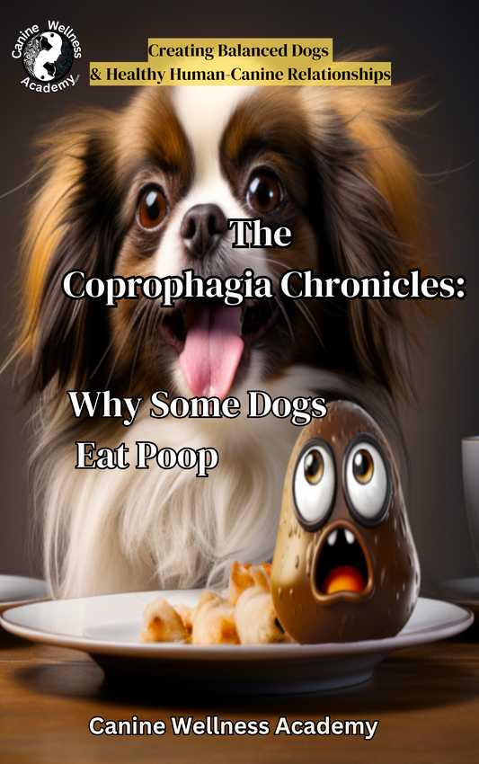 The Coprophagia Chronicles: Why Some Dogs Eat Poop