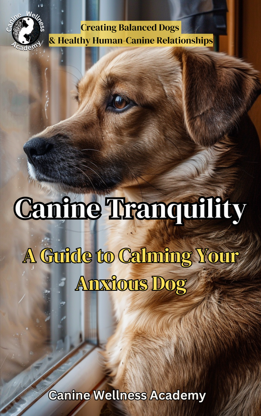 Canine Tranquility: A Guide to Calming Your Anxious Dog