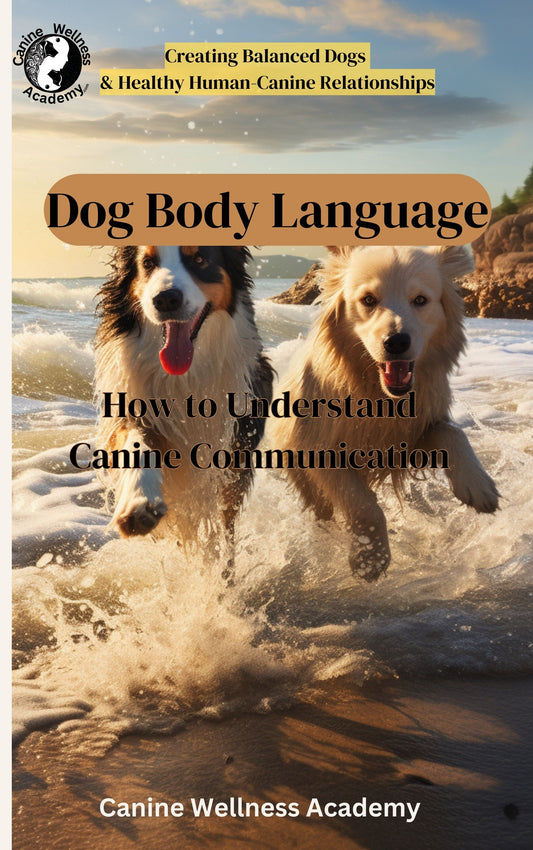Dog Body Language A Guide to Understanding Canine Communication eBook