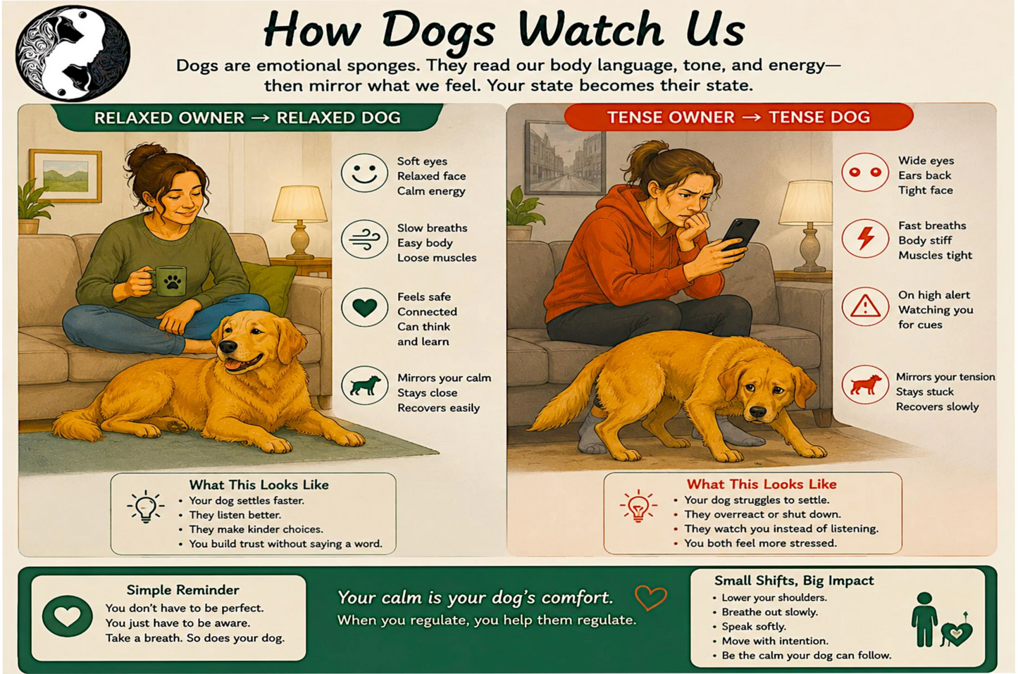 An educational infographic titled 'How Dogs Watch Us' with a black and white globe logo in the top-left corner. The graphic features a split comparison between 'Relaxed Owner' and 'Tense Owner' dog body language cues, accompanied by diagrams of a green dog and an orange dog, along with text descriptions and small icons.