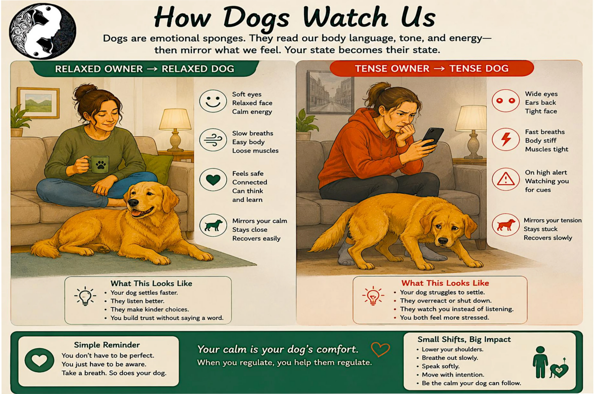 An educational infographic titled 'How Dogs Watch Us' with a black and white globe logo in the top-left corner. The graphic features a split comparison between 'Relaxed Owner' and 'Tense Owner' dog body language cues, accompanied by diagrams of a green dog and an orange dog, along with text descriptions and small icons.