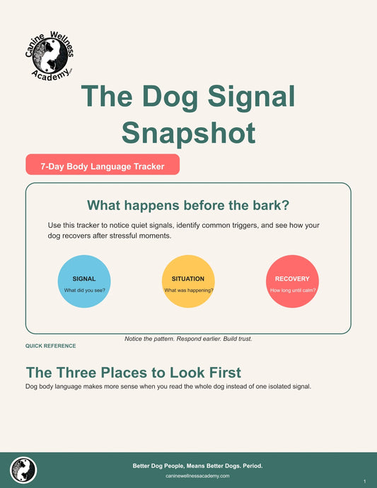 Dog Signal Snapshot
