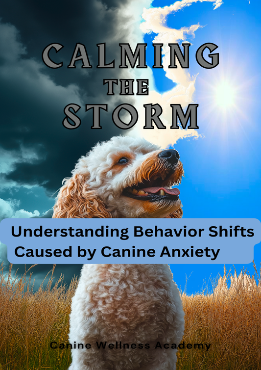 Calming the Storm: Understanding Behavior Shifts Caused by Canine Anxiety