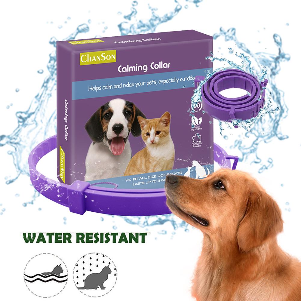 Dog Calming Collar Scented